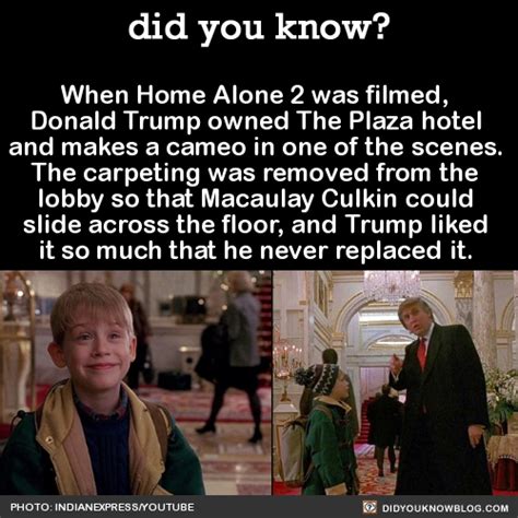 did-you-kno: 10 Home Alone 2 Facts That Will... - obsessing much?