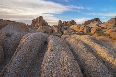 Joshua Tree Sunrise Photograph by Dustin LeFevre - Fine Art America