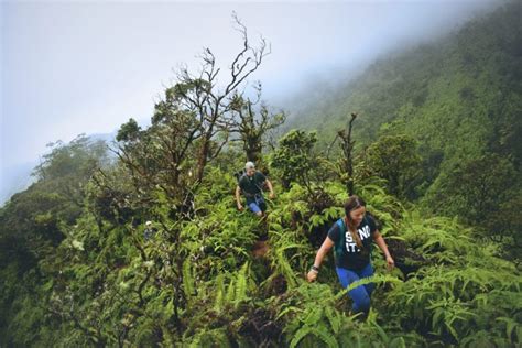 Camping on Oahu - Hawaii State Parks