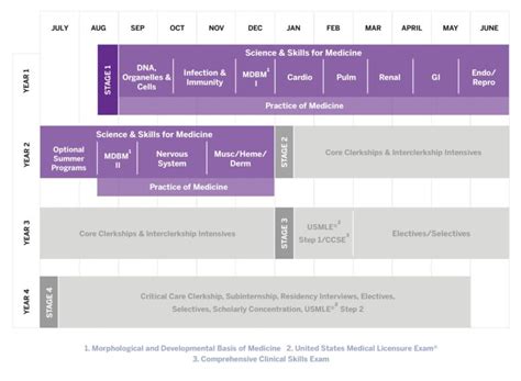 How to Get Into NYU Medical School | Insider's Perspective