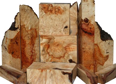 Box Elder Burl Turning & Mini Slab Sale! – Cook Woods