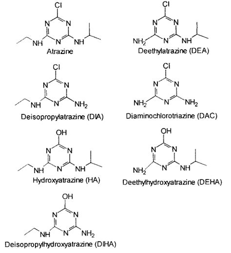 The chemical structure of atrazine and the most common biodegradation ...