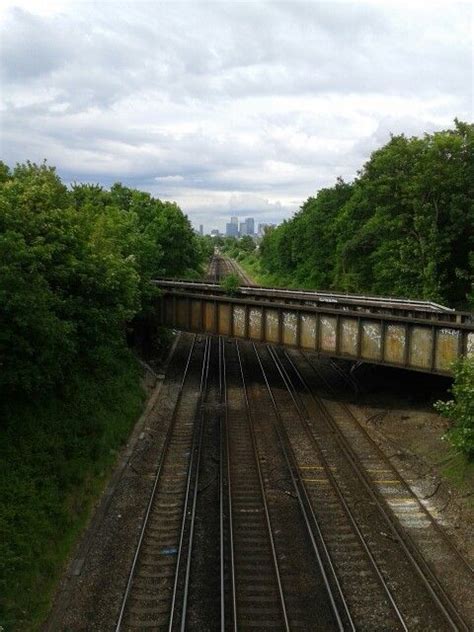 14/7/14 Railway line through Crofton Park, London. Looks like a scene from '28 Days Later ...