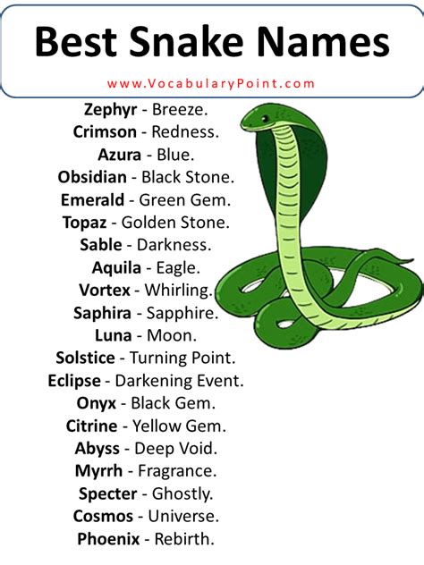 450+ Best Snake Names (Pet,Funny,Cool & Badass) - Vocabulary Point