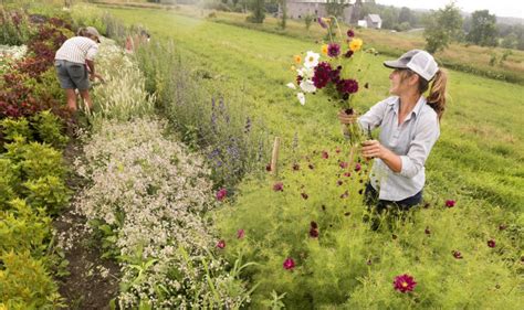 A guide to types of farms | Hello Homestead