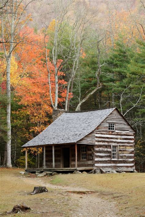 an old log cabin in the woods surrounded by trees with fall foliage on the ground