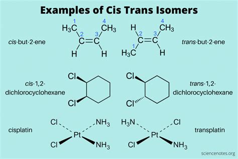 Cis And Trans Isomers - vrogue.co