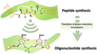 From green innovations in oligopeptide to oligonucleotide sustainable ...