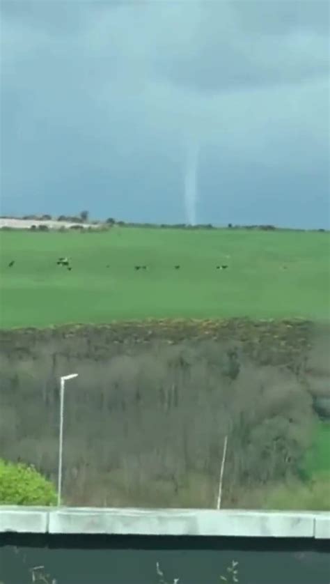 'Tornado' spotted in Co Cork field as cows seen 'running for shelter ...