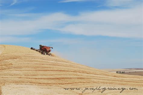 Joseph's Grainery: It's Harvest Time! - Palouse Wheat Harvest