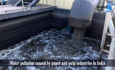 How to solve Water pollution caused by paper and pulp industries