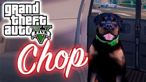 Chop - GTA V - YouTube