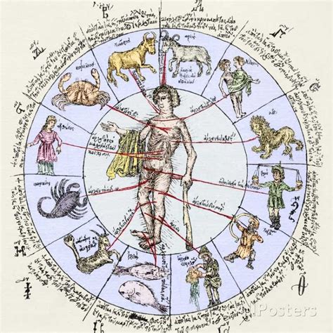 'Medical Zodiac, 15th Century Diagram' Photographic Print - Sheila Terry | AllPosters.com ...