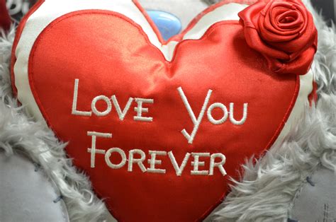 Love You Forever Free Stock Photo - Public Domain Pictures