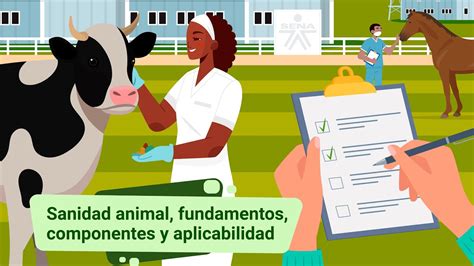 Sanidad animal, fundamentos, componentes y aplicabilidad - YouTube