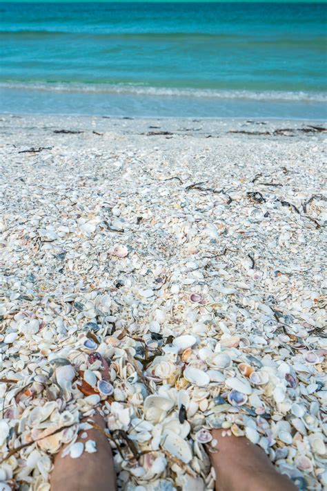 Why The World's Best Shelling Is At The Beaches Of Fort Myers & Sanibel ...