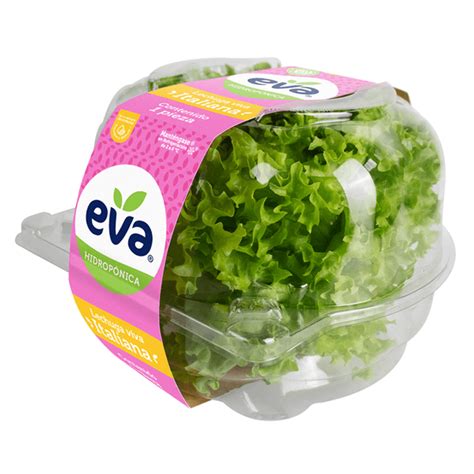 Eva Lechuga Hidropónica Italiana 1 Pz - H-E-B México