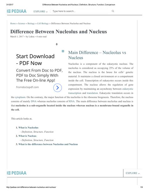 (PDF) Difference Between Nucleolus and Nucleus