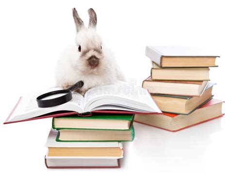 A Cute Rabbit Is Reading A Book With A Loupe Stock Images - Image: 17634864