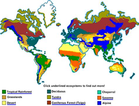 Where are tropical rainforests located? - Internet Geography