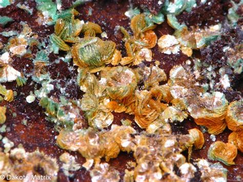 Torbernite Mineral Specimen For Sale