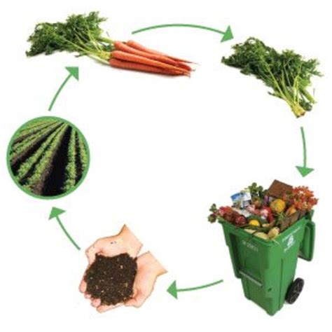 How to Use a Composting Bin or Create a Compost Pile - Dengarden