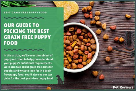 10 Best Grain Free Puppy Foods: Our Top Rated & Most Affordable Picks