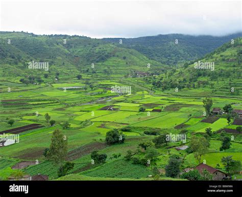 landscape, houses in the farm. village Stock Photo - Alamy