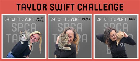 Taylor Swift Challenge