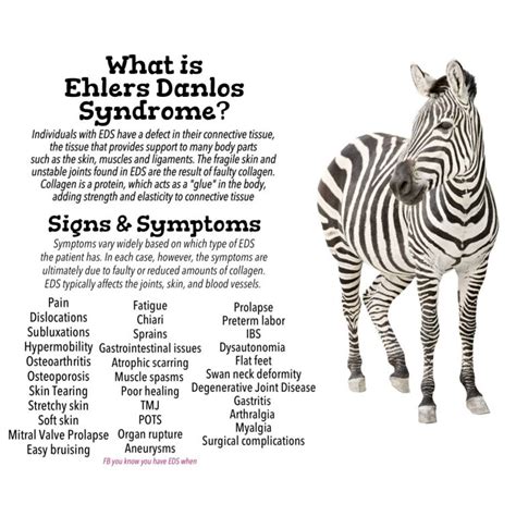 What is Ehlers-Danlos Syndrome ? – My Health Maven