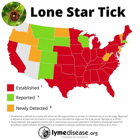 Lone Star Tick That Causes Red Meat Allergy Spotted Nearly Everywhere in Continental US ...