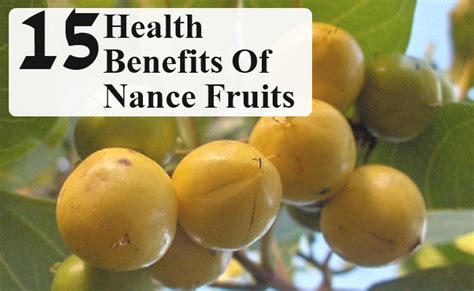 15 Incredible Health Benefits Of Nance Fruits – Morpheme Remedies | India