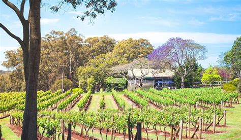 Wineries in Port Macquarie - The Westport Club