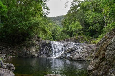 Conondale National Park - Conondale QLD 4552, Australia