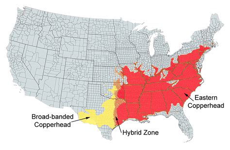 Copperhead Snake Habitat Map