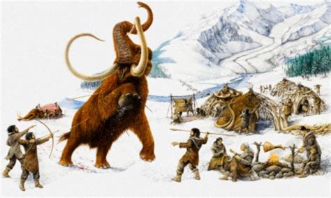 Woolly Mammoth Extinction Cause