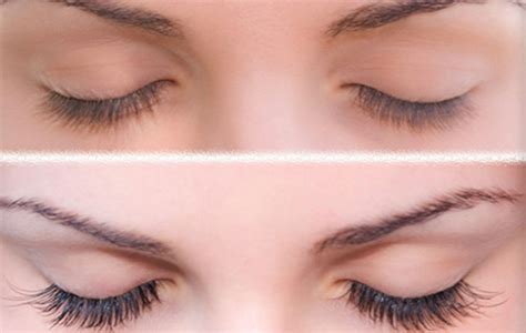 Eyelash Perming and Tinting | Escape Beauty Therapy