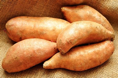 What are Yams? (with pictures)