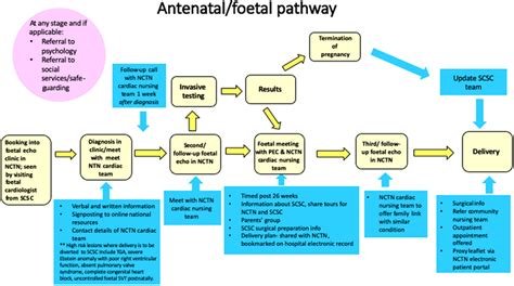 Demonstrates the care pathway from antenatal diagnosis to... | Download Scientific Diagram