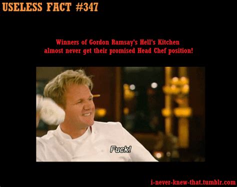 Gordon Ramsay Masterchef GIF - Find & Share on GIPHY