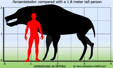 Блогът на valentint :: Encyclopedia Largest prehistoric animals Vol. 1 Vertebrates part1 Mammals ...