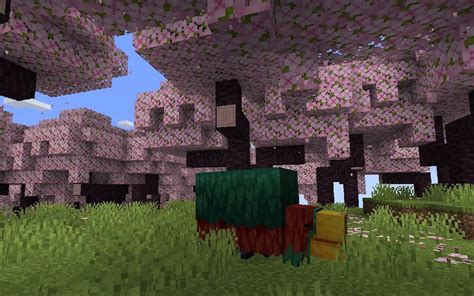 Cherry blossom biome in new Minecraft snapshot and beta: All you need ...