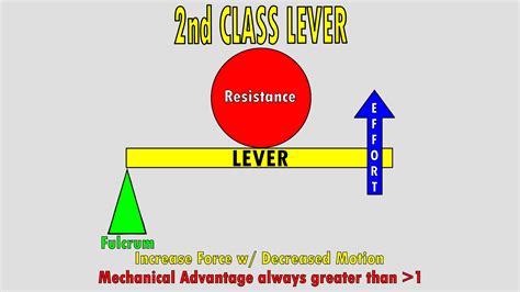 The 3 Classes of Levers – KinesiologyKris.com