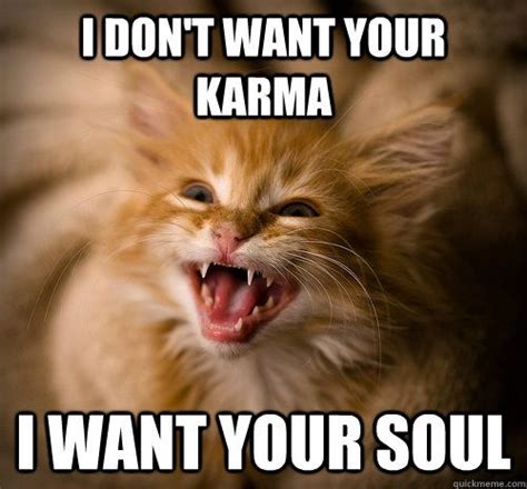 Evil Kitten memes | quickmeme | Evil cat, Silly cats, Kitten