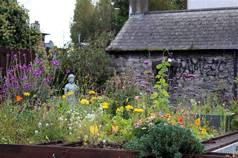 Irish Farm Cottage