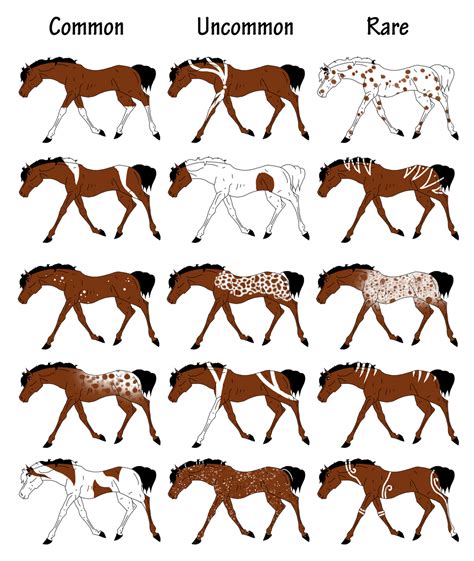 Pandori Aura Equine - Markings Chart by carlmoon on DeviantArt