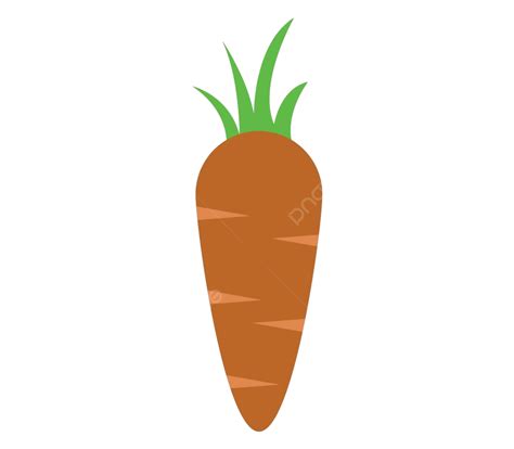 Carrot Icon Object Non Gmo Food Vector, Object, Non Gmo, Food PNG and Vector with Transparent ...