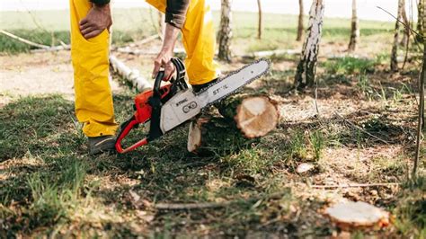 Essential Forestry Equipment And Tools - Rolism