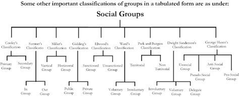 Social Groups