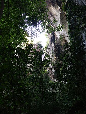 Wayfarer Adventures (Temerloh, Malaysia): Address, Phone Number - Tripadvisor